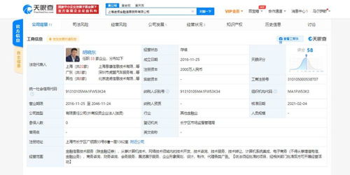 計算機信息技術咨詢服務的價值與應用